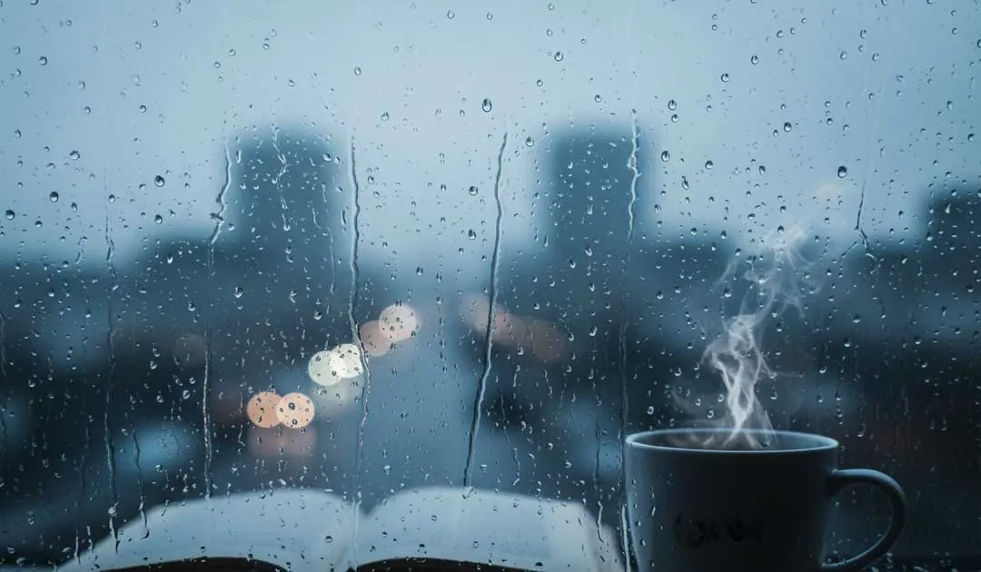 Frases de Lluvia: Tu Dosis de Melancolía y Confort